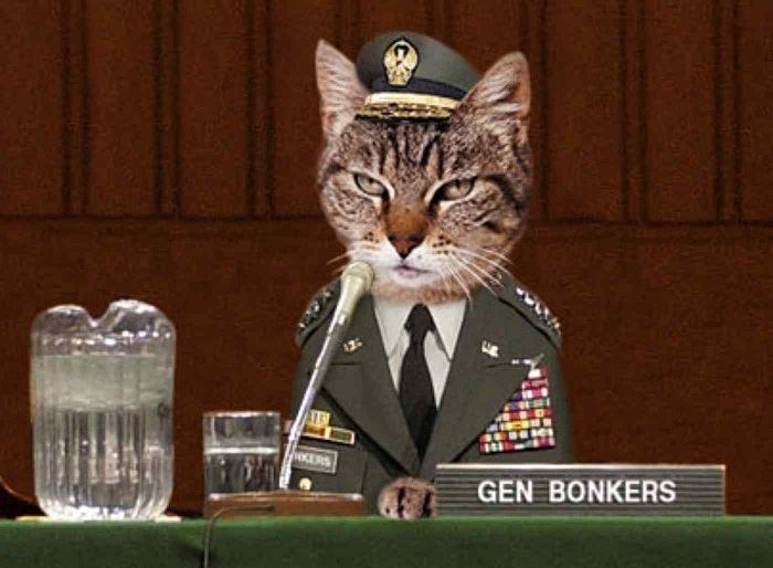 War on String Kitten General